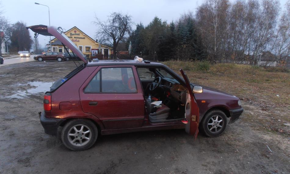 2013-11-18-1031drogy 8.JPG